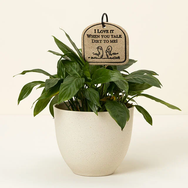 Talkin Dirt-e Garden Sign​