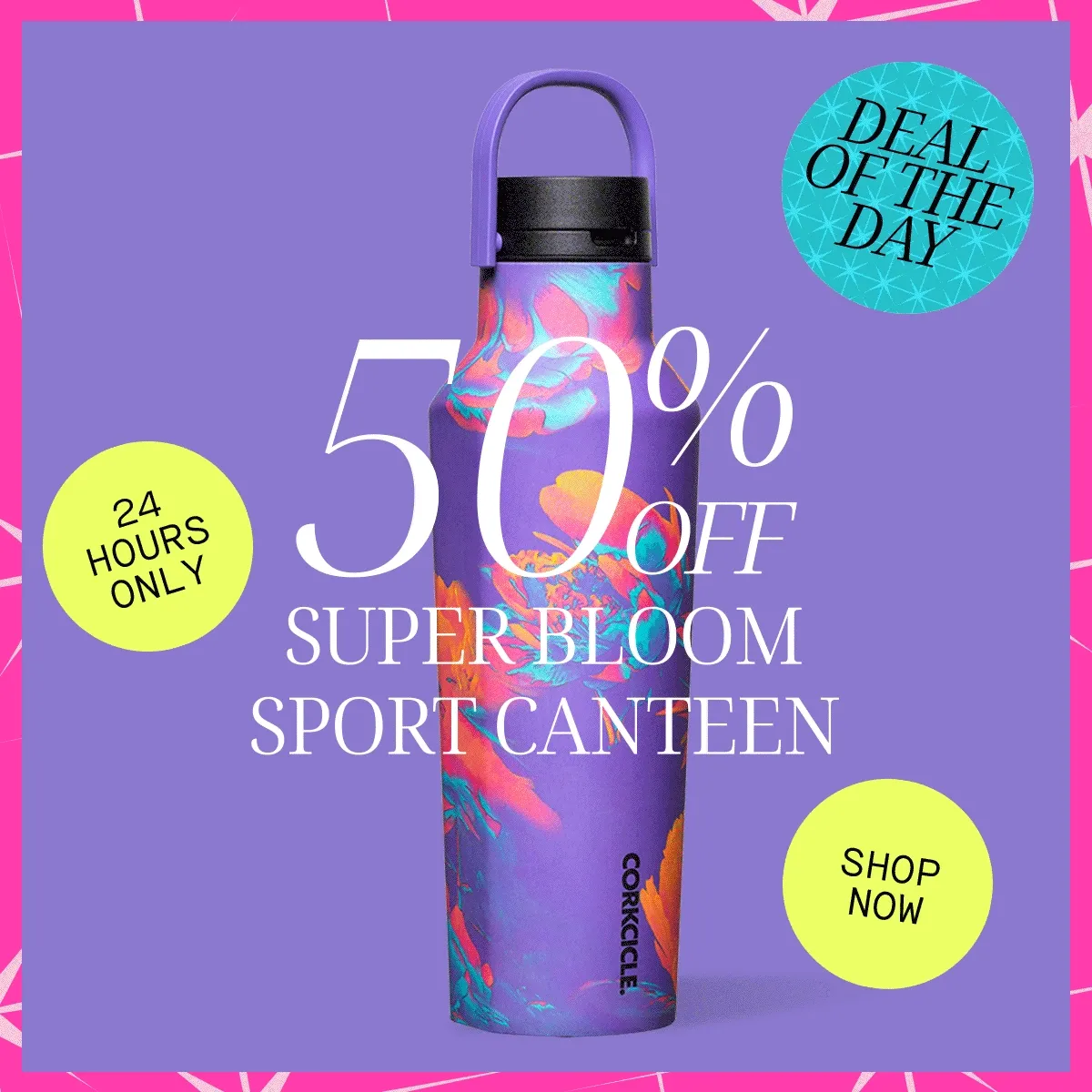 24 Hours only! Deal of the day for 50% off!
