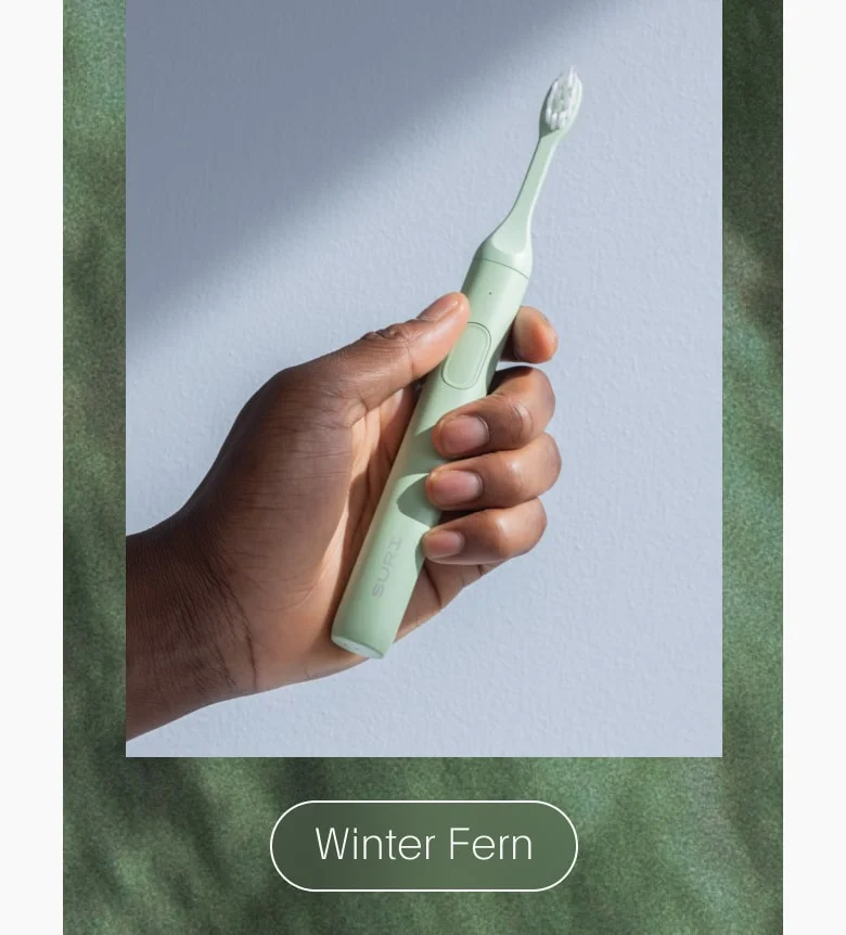 Winter Fern