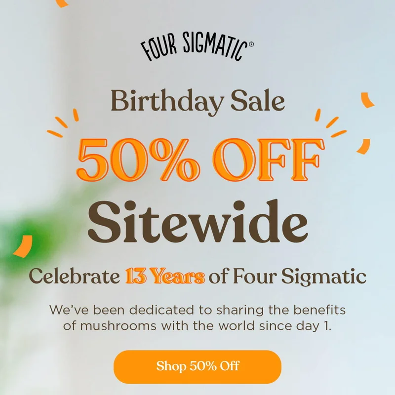 Birthday Sale: 50% OFF Sitewide