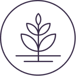 ingredients icon