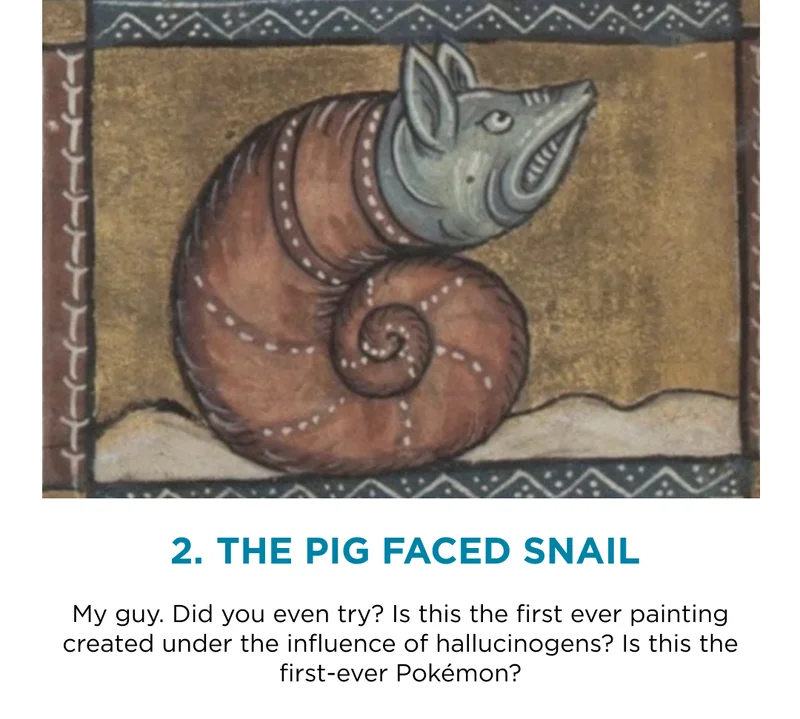 2. The Pig Faced Snail