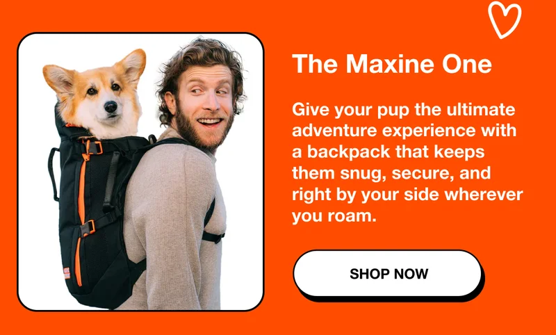The Maxine One