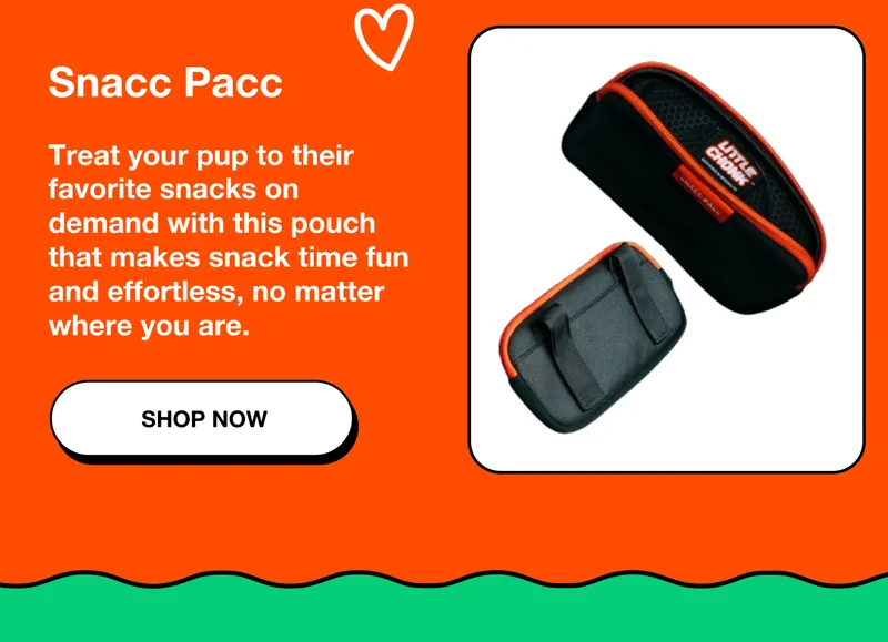 Snacc Pacc
