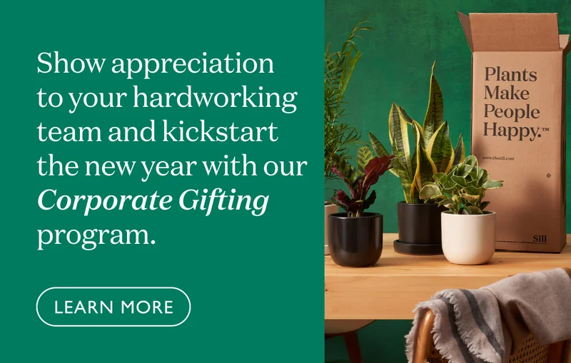 Show appreciation to your hardworking team and kickstart the new year with our Corporate Gifting program.