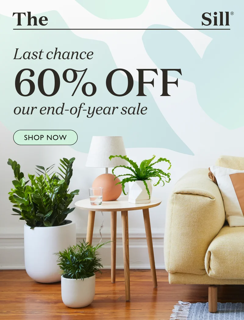 Last chance to enjoy up to 60% off during our end-of-year sale!