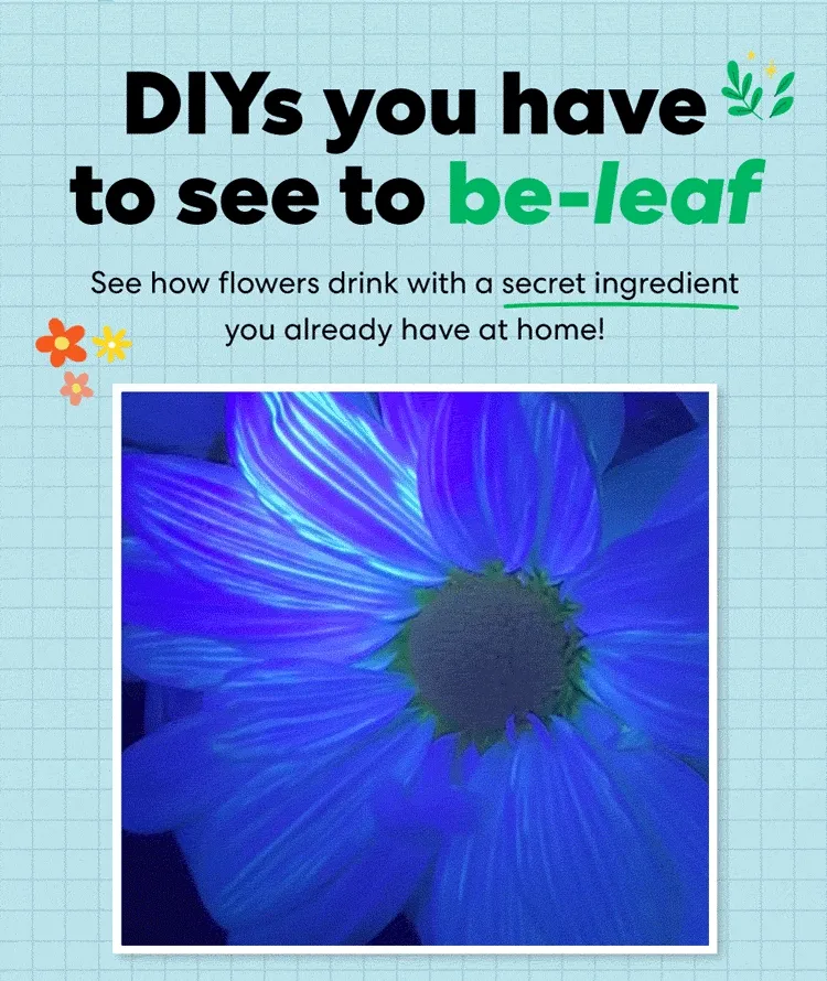 DIYs you have to see to be-leaf