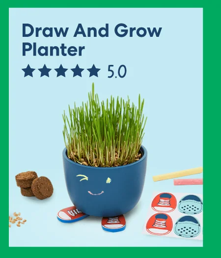 Draw And Grow Planter