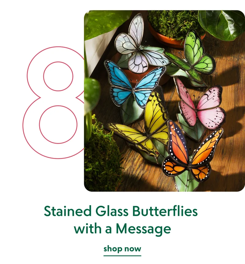 stained-glass-butterflies-with-a-message