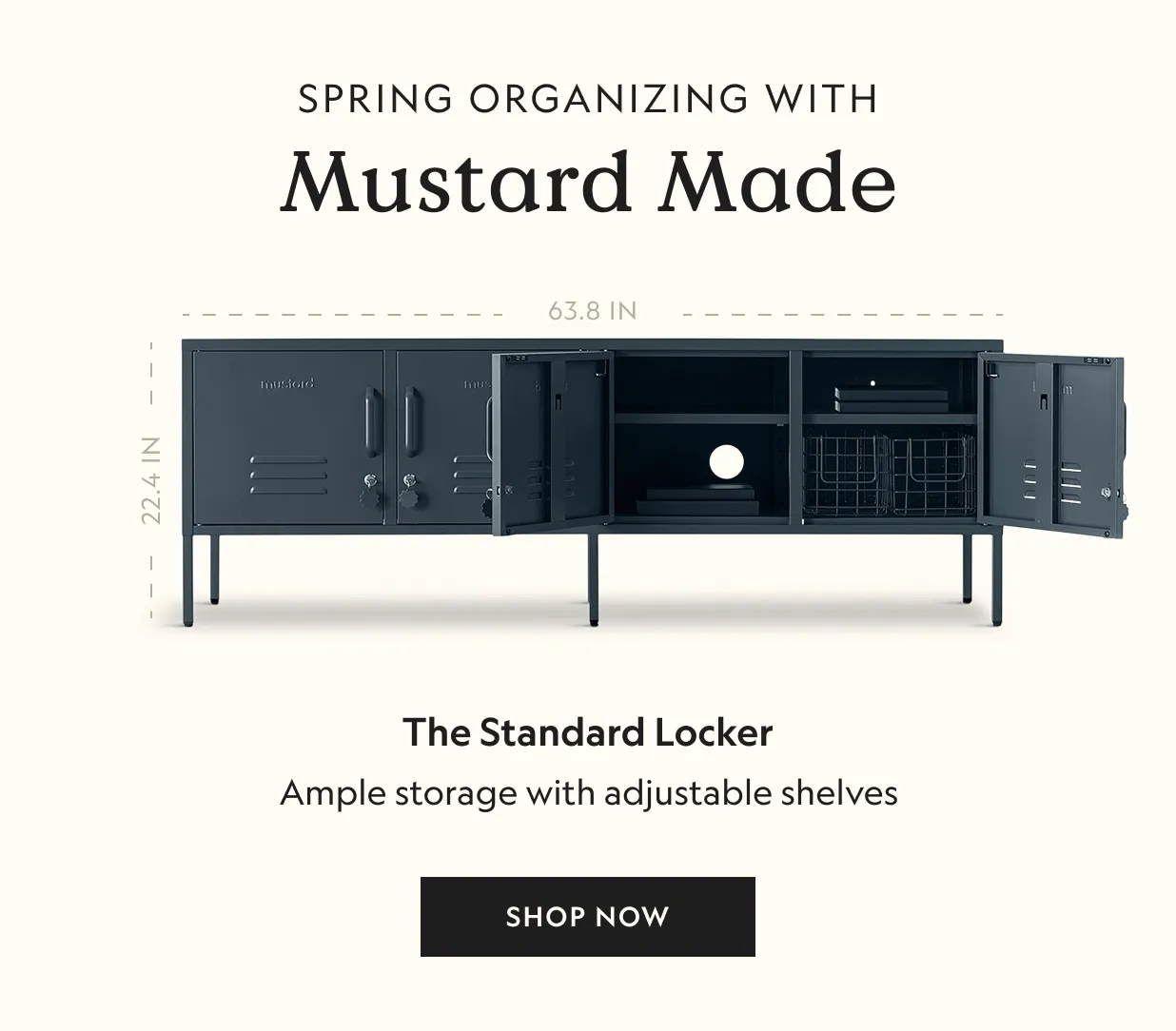 The Standard Locker