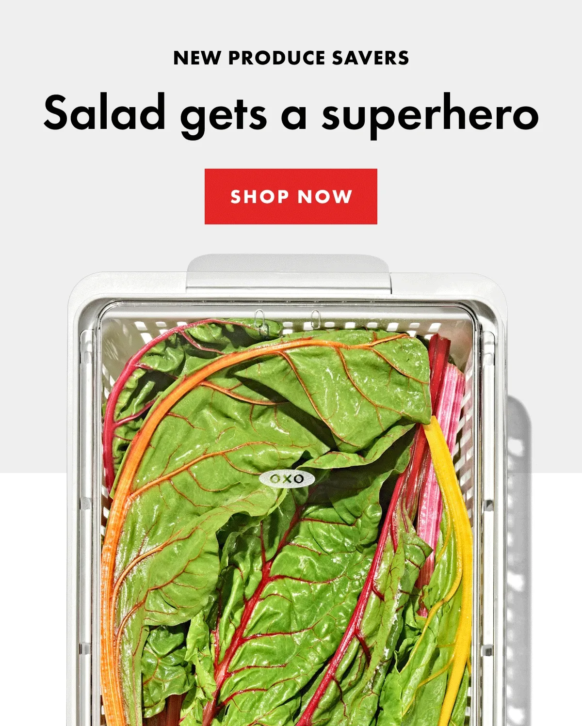 New produce savers. Salad gets a superhero. Shop now.