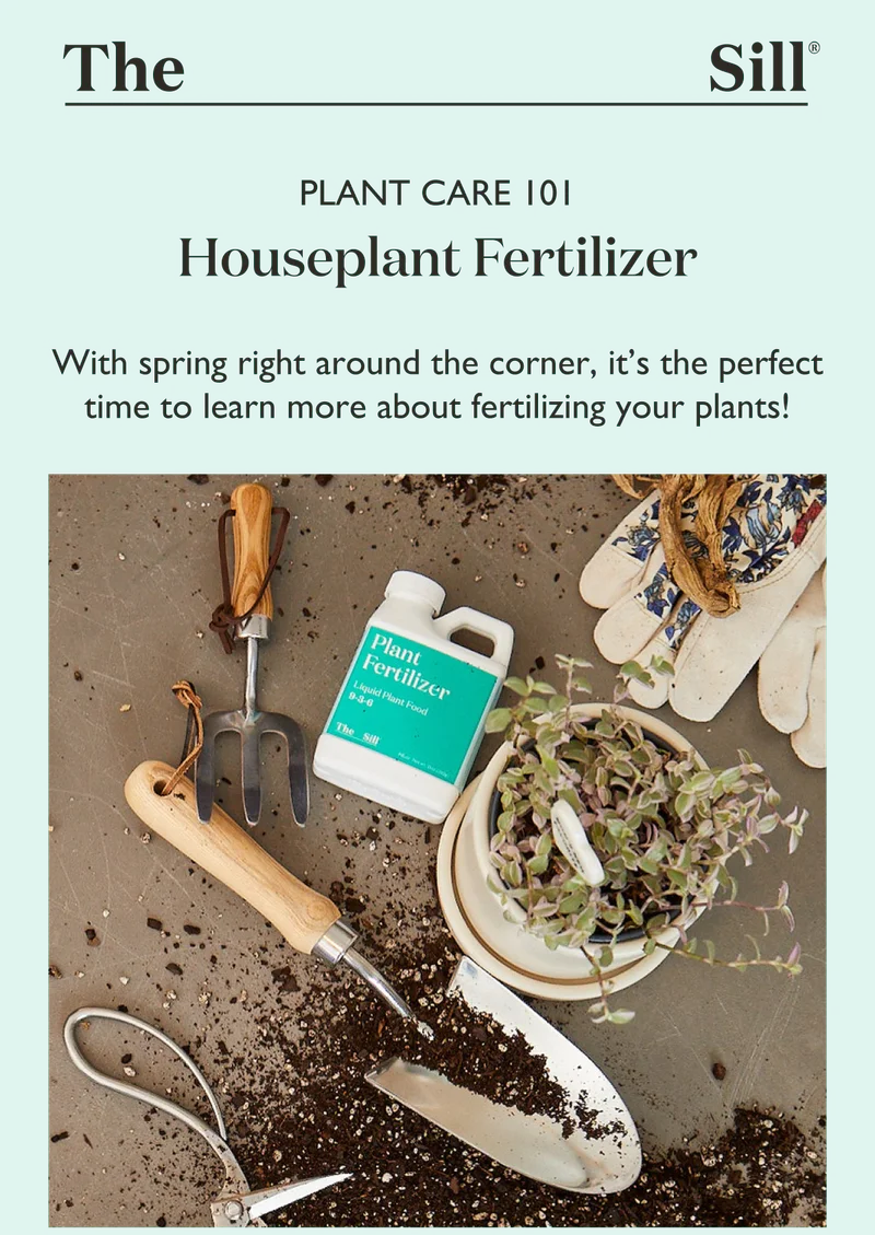 With spring right around the corner, it's the perfect time to learn more about fertilizing your plants!