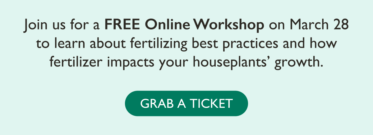 Join us for a FREE Online Workshop on March 28 to learn about fertilizing best practices and how fertilizer impacts your houseplants' growth.