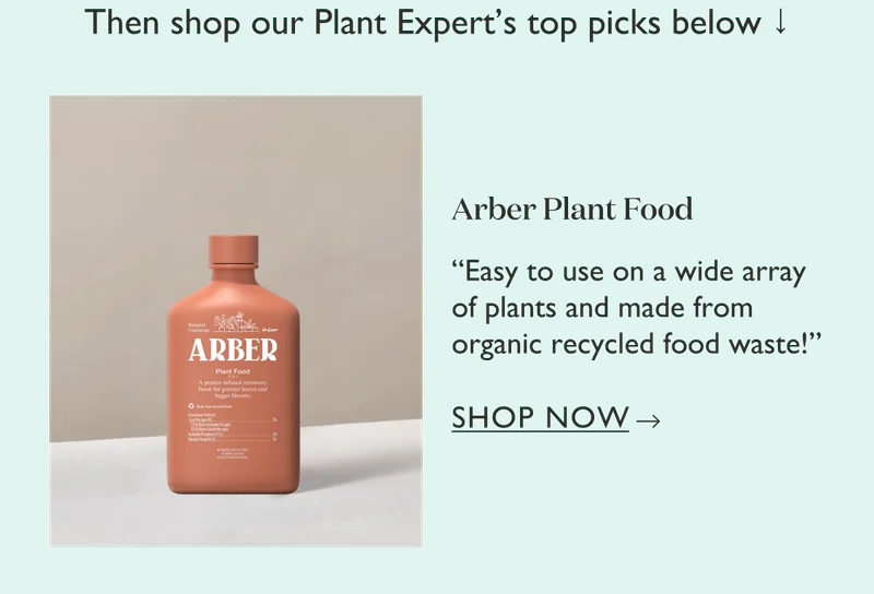 Arber Plant Food