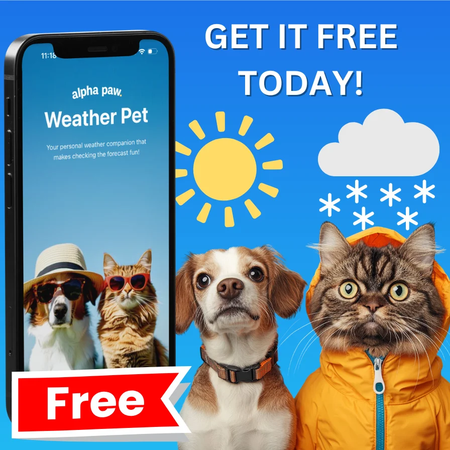 Weather Pet