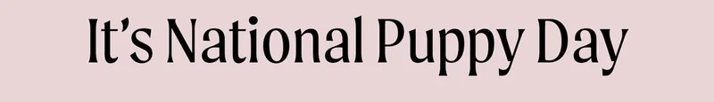 It's National Puppy Day