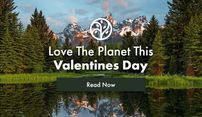 Love The Planet