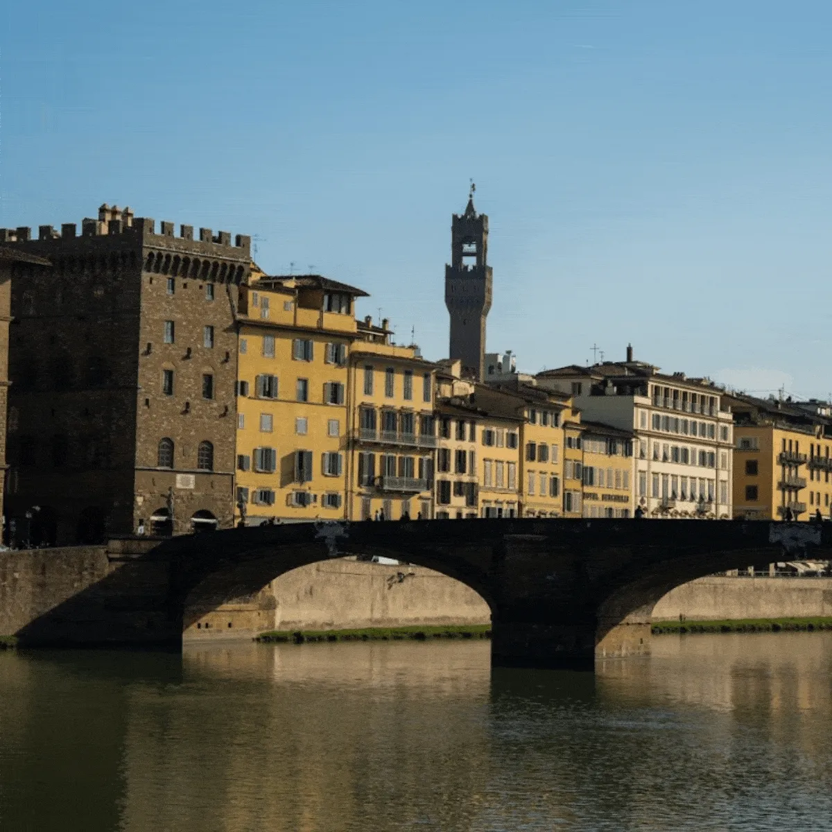 GIF of sunny Hox locations