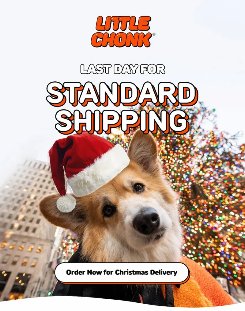 Order Now for Christmas Delivery