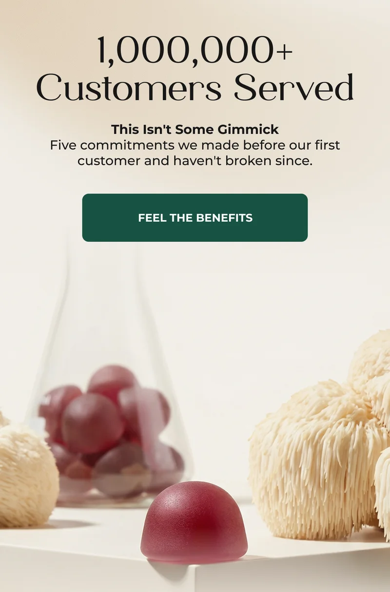 100000+ customers served [FEEL THE BENEFITS]
