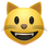 :smiley_cat: