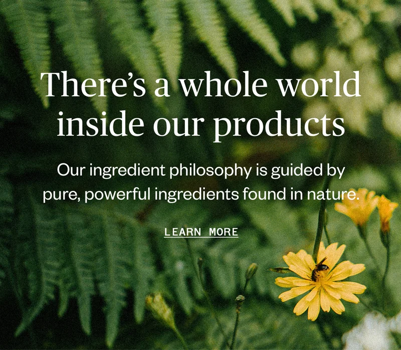 Learn More