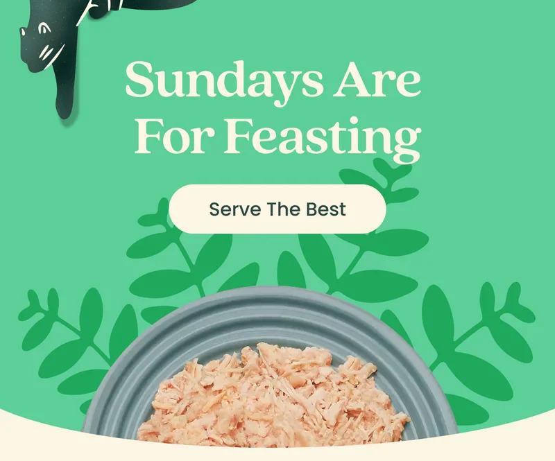 Serve The Best