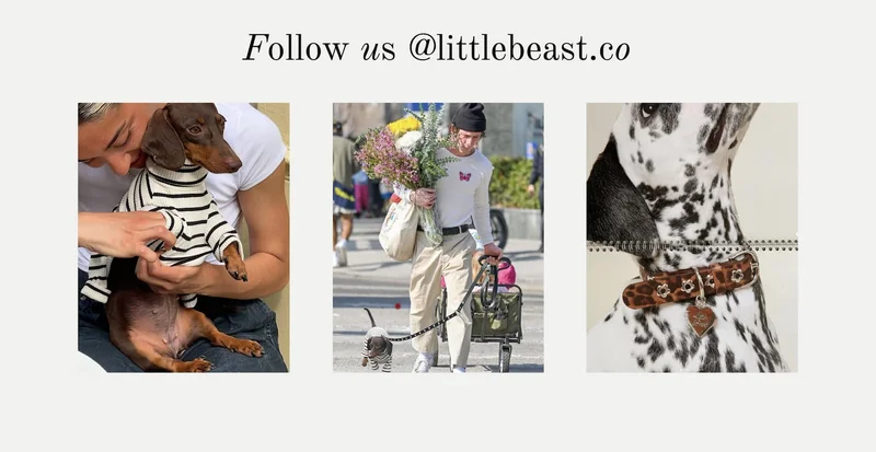 Follow us on Instagram