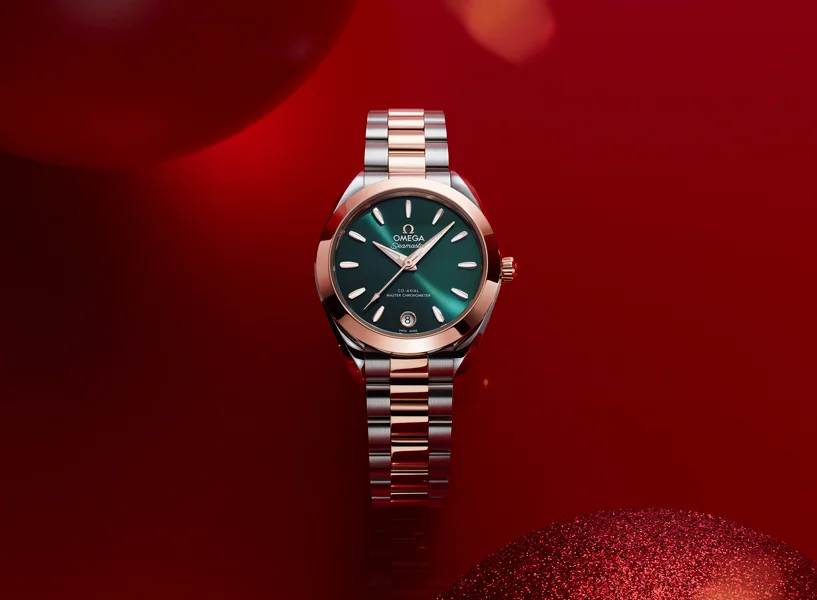 Seamaster Aqua Terra - 220.20.30.20.10.002