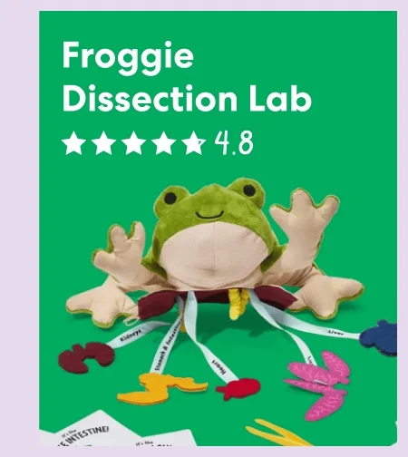 Froggie Dissection Lab
