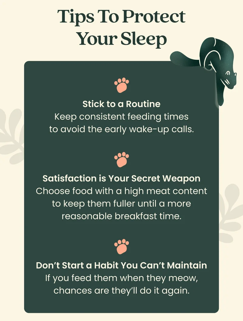Tips to Protect Your Sleep   Stick to a Routine Keep consistent feeding times to avoid the early wake-up calls.   Satisfaction is Your Secret Weapon Choose food with a high meat content to keep them fuller until a more reasonable breakfast time.  Don’t Start a Habit You Can’t Maintain If you feed them when they meow, chances are they’ll do it again.