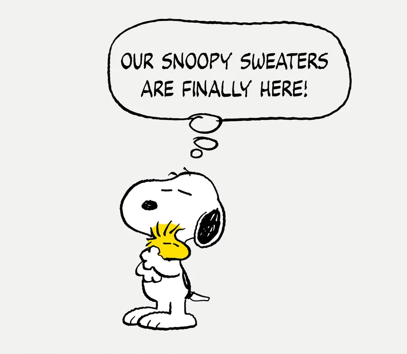 Our Snoopy Sweaters Are Finally Here!