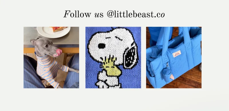 Follow us on Instagram