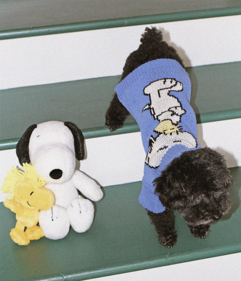 Snoopy Sweater