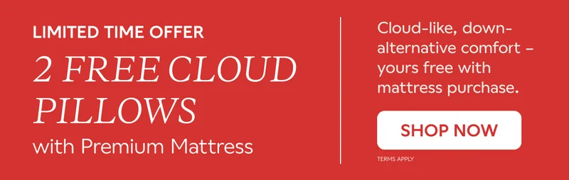 LIMITED TIME OFFER. 2 FREE CLOUD PILLOWS WITH PREMIUM MATTRESS. Cloud-like, down-alternative comfort - yours free with mattress purchase. SHOP NOW. Terms Apply.