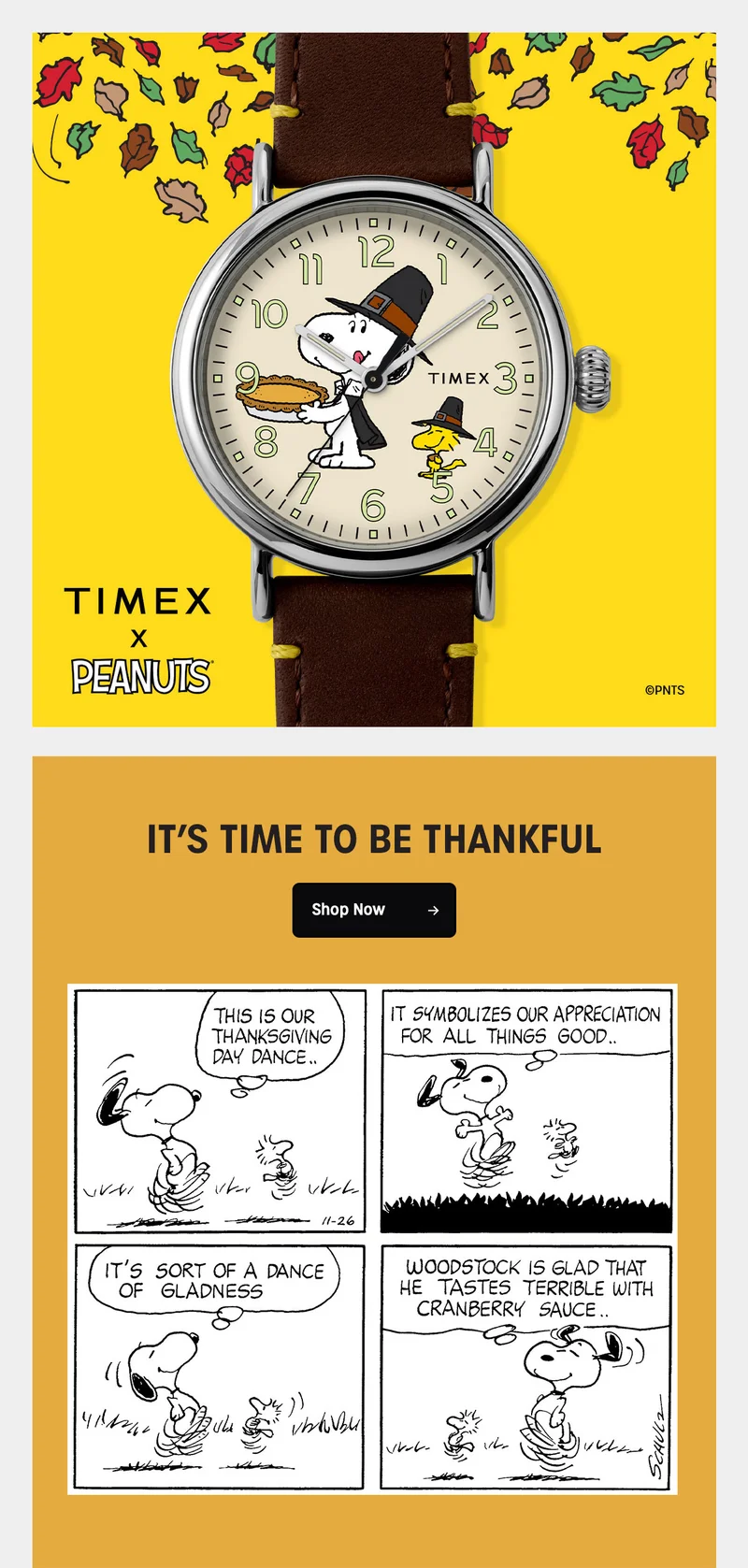TIMEX X PEANUTS | IT'S TIME TO BE THANKFUL | Shop Now