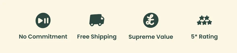 No commitment. Free Shipping. Supreme Value. 5* Rating.