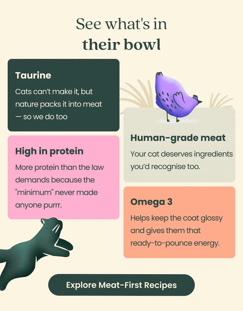 See what's in their bowl  Taurine Cats can't make it, but nature packs it into meat - so we do too.  Human-grade meat Your cat deserves ingredients you'd recognise too.  High in protein  More protein than the law demands because the "minimum" never made anyone purrr.  Omega 3  Helps keep the coat glossy and gives them that ready-to-pounce energy.