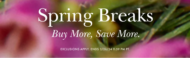 Spring Breaks Buy More, Save More.