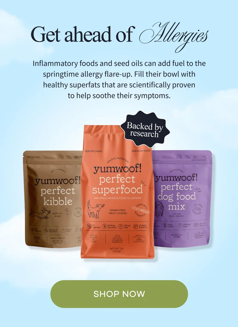 Get Ahead of  Allergies | Inflammatory foods and seed oils can add fuel to the springtime allergy flare-up. Fill their bowl with healthy superfats that are scientifically proven to help soothe their symptoms. | SHOP NOW