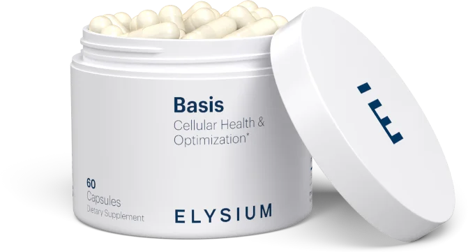 Basis