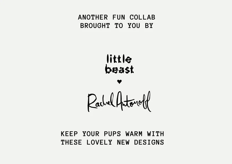 Little Beast x Rachel Antonoff