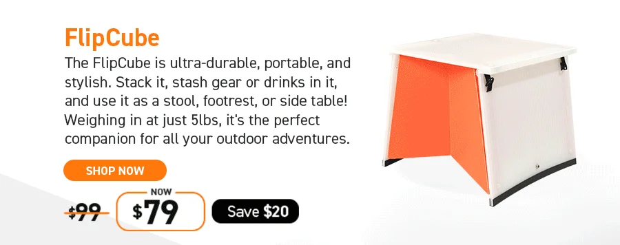 FlipCube: Save $20!