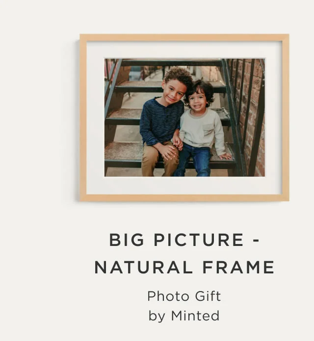Big Picture - Natural Frame