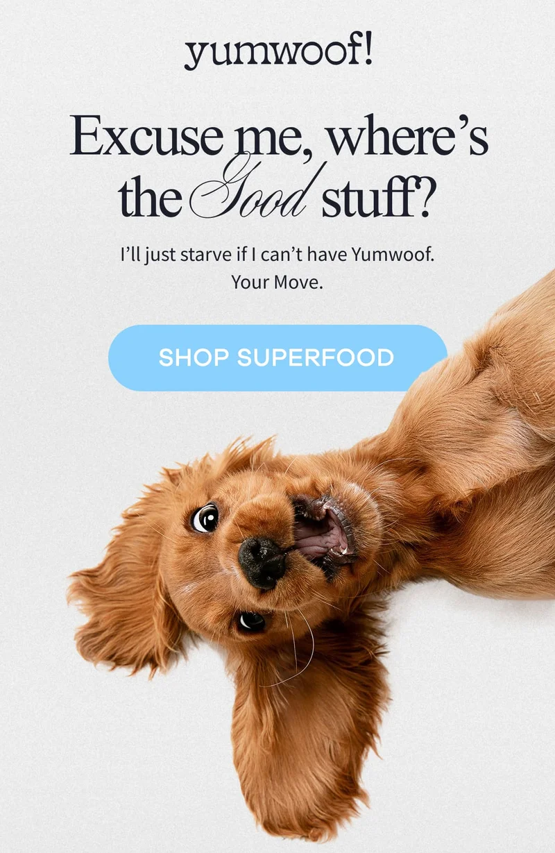 yumwoof! | Excuse me, where’s the Good stuff? | I’ll just starve if I can’t have Yumwoof. Your Move. | SHOP SUPERFOOD