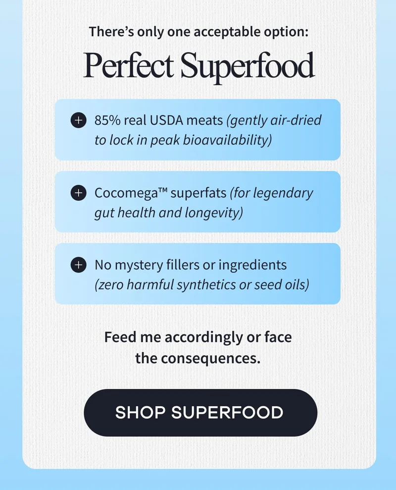 There’s only one acceptable option: Perfect Superfood | Feed me accordingly or face the consequences. | SHOP SUPERFOOD