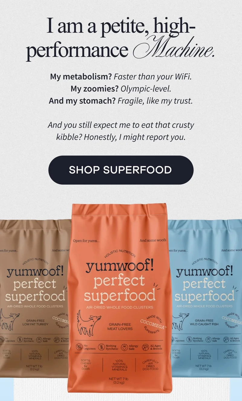 I am a petite, high-performance Machine. | My metabolism? Faster than your WiFi. My zoomies? Olympic-level. And my stomach? Fragile, like my trust.  And you still expect me to eat that crusty kibble? Honestly, I might report you. | SHOP SUPERFOOD