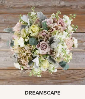 Flowers At a Great Price