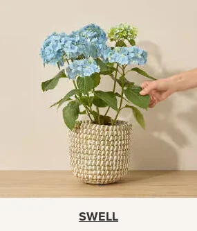 Flowers At a Great Price