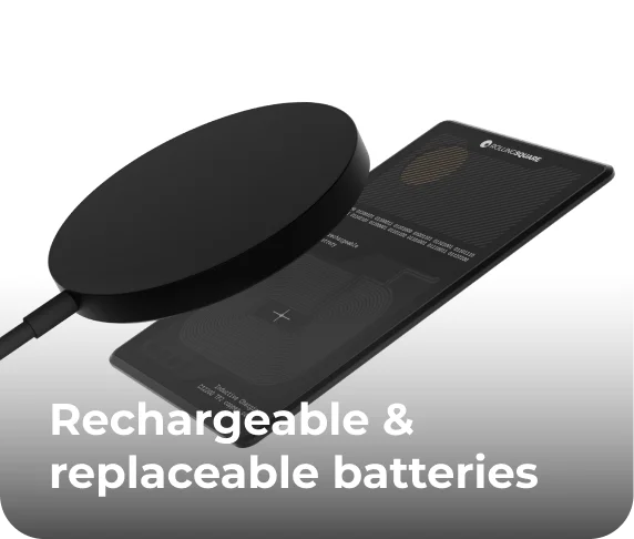 Rechargeable & replaceable batteries